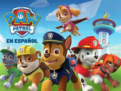 videos de los paw patrol